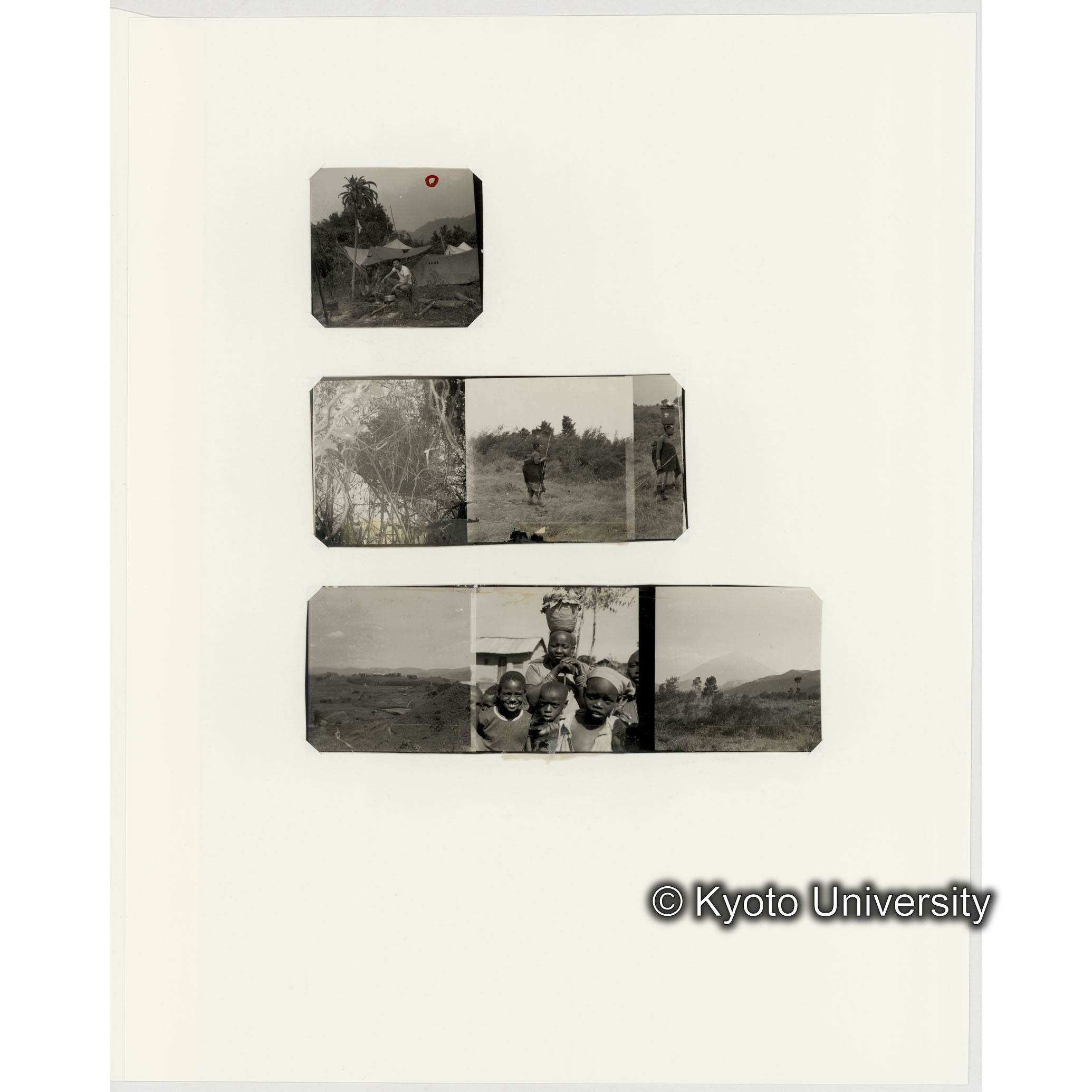 [ネガフィルムスリーブ18]「５５０a」 (2)