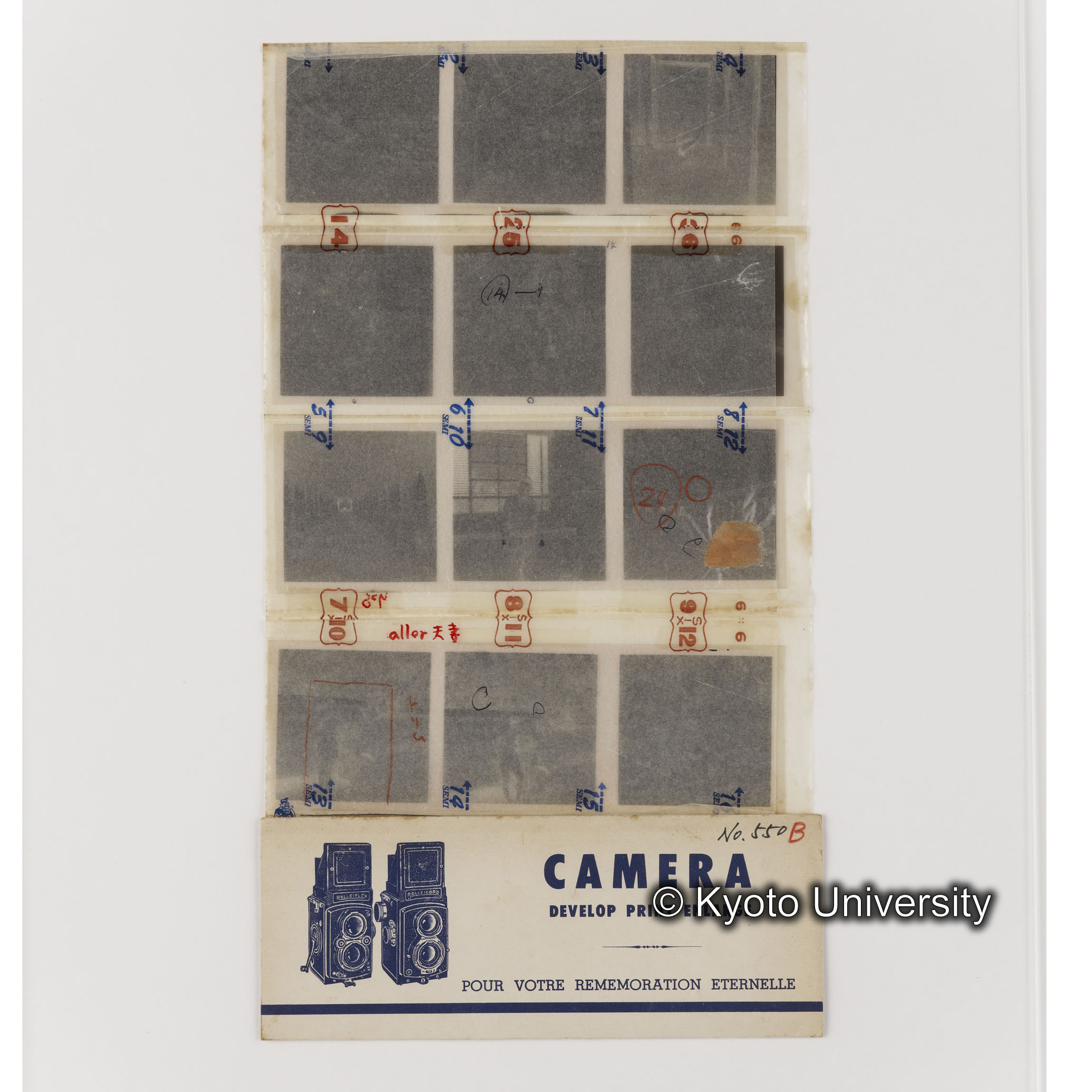 [ネガフィルムスリーブ19]「５５０b」 (1)