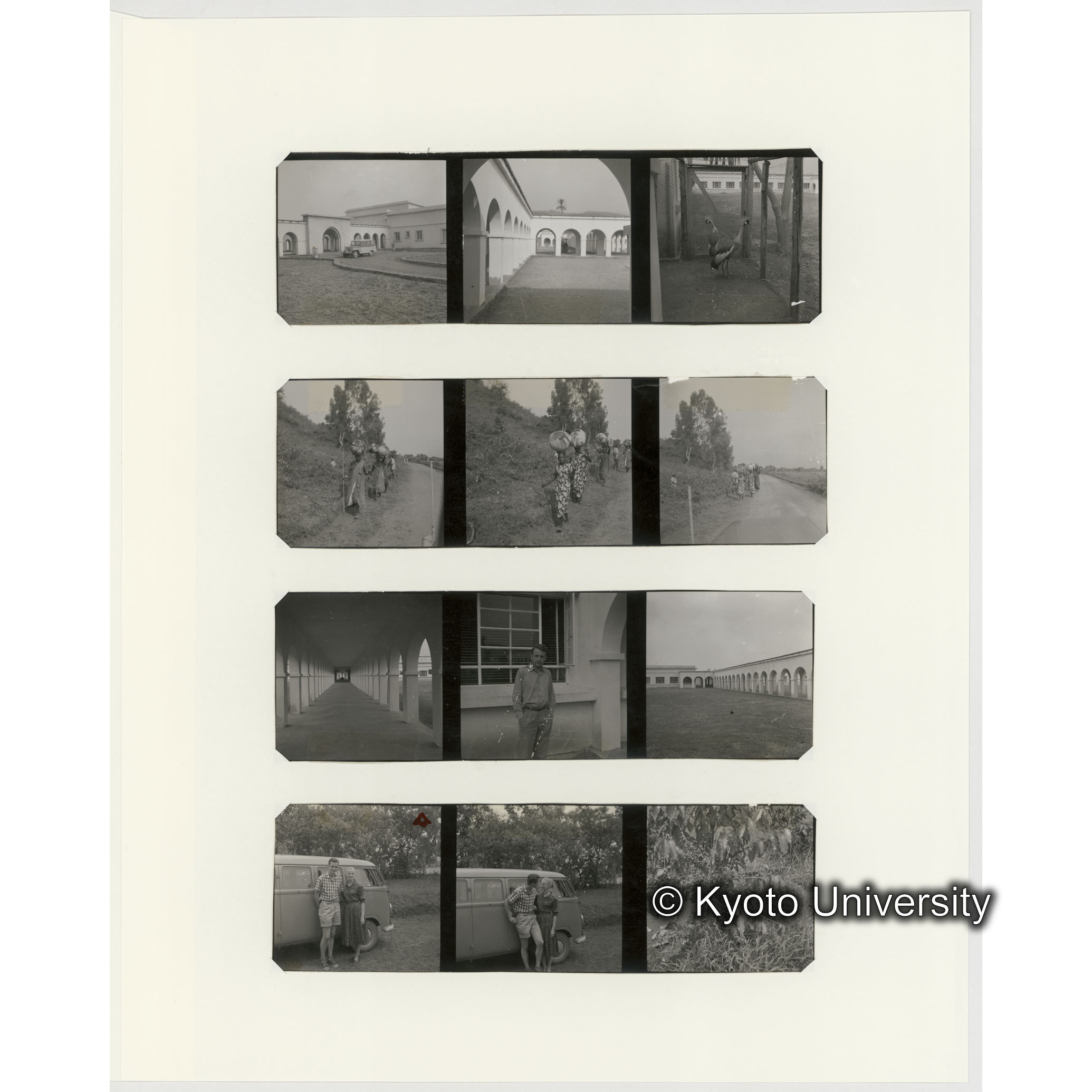 [ネガフィルムスリーブ19]「５５０b」 (2)