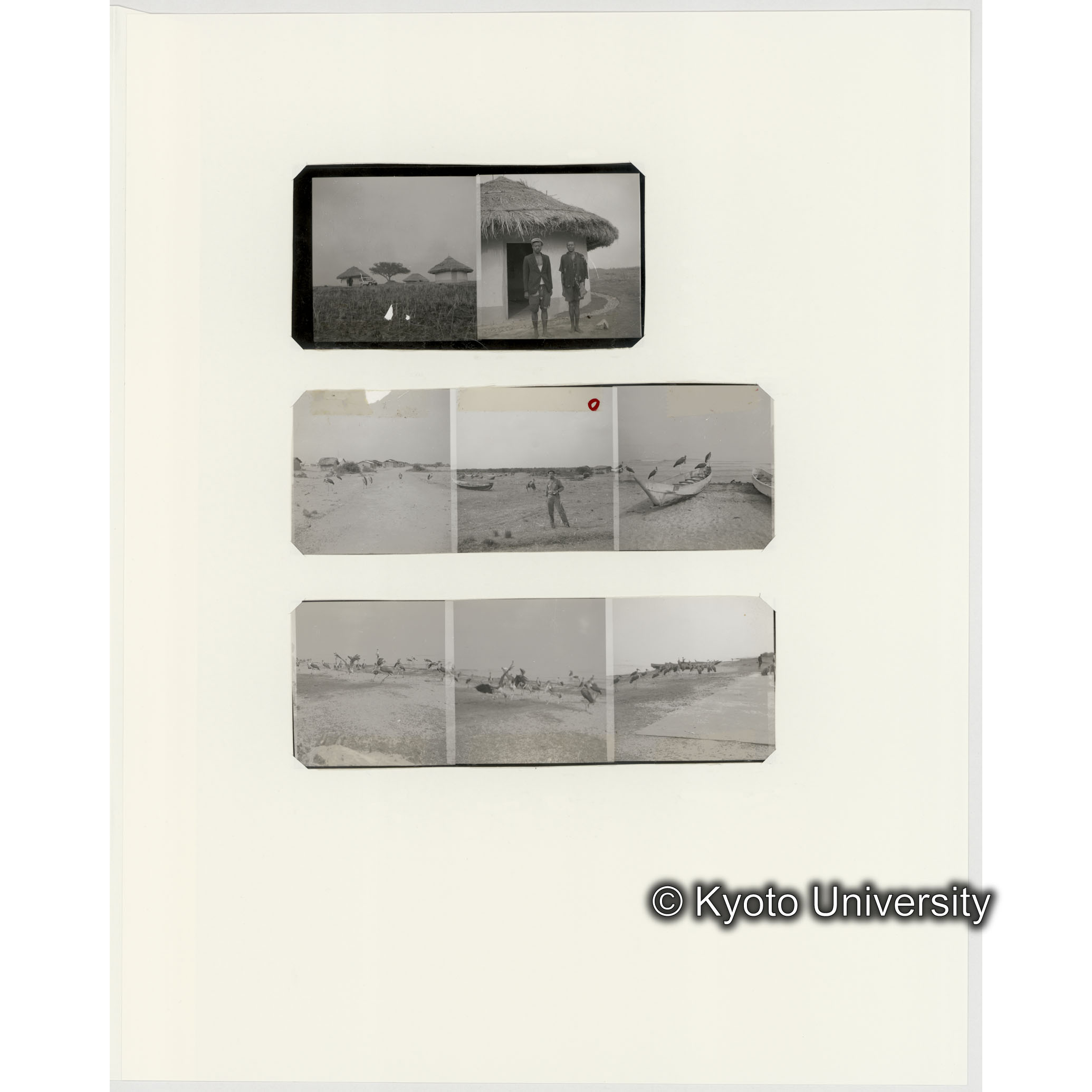 [ネガフィルムスリーブ20]「５５１a」 (2)