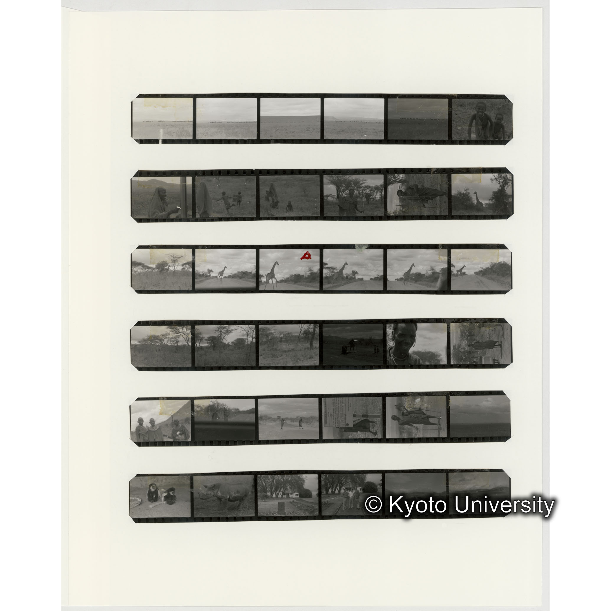 [ネガフィルムスリーブ22]「５５２」 (2)