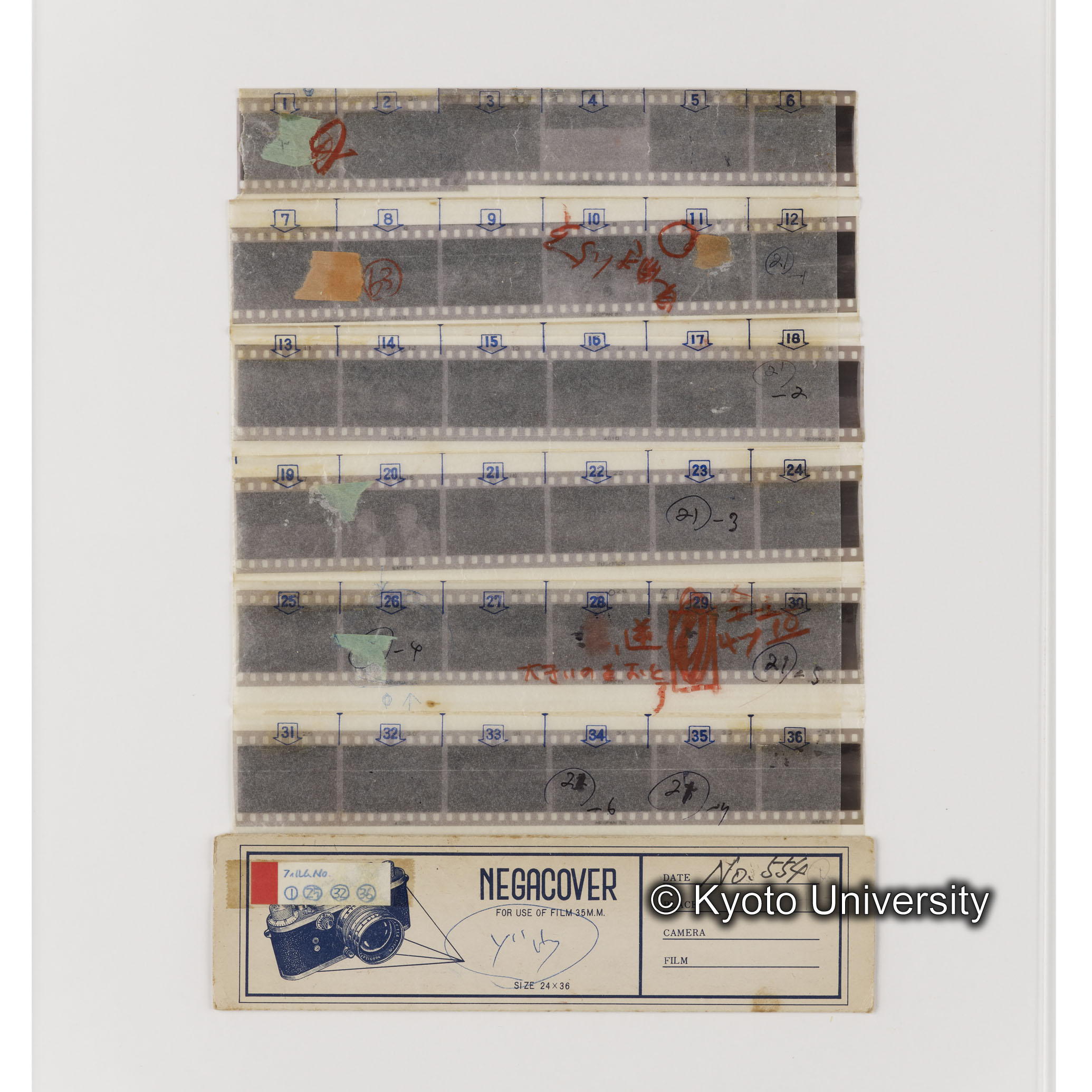 [ネガフィルムスリーブ24]「５５４」 (1)