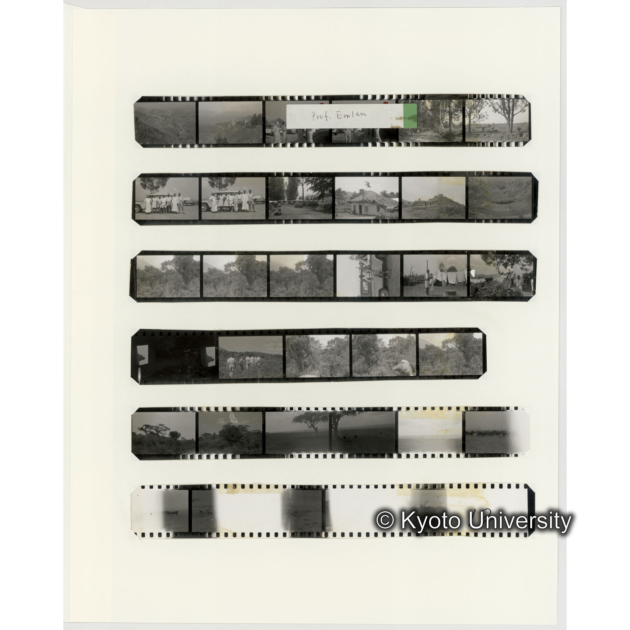 [ネガフィルムスリーブ25]「５５５」 (2)