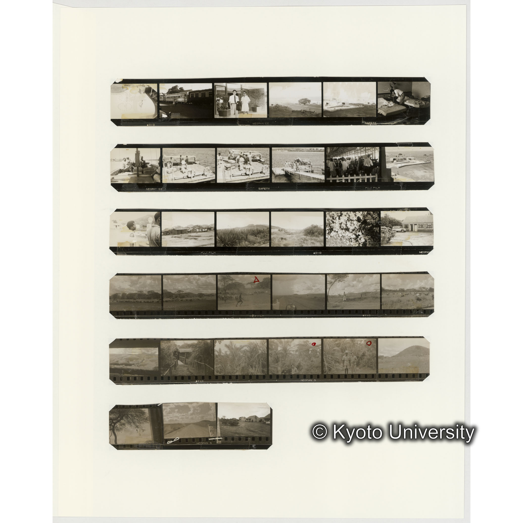 [ネガフィルムスリーブ31]「６５１」 (2)