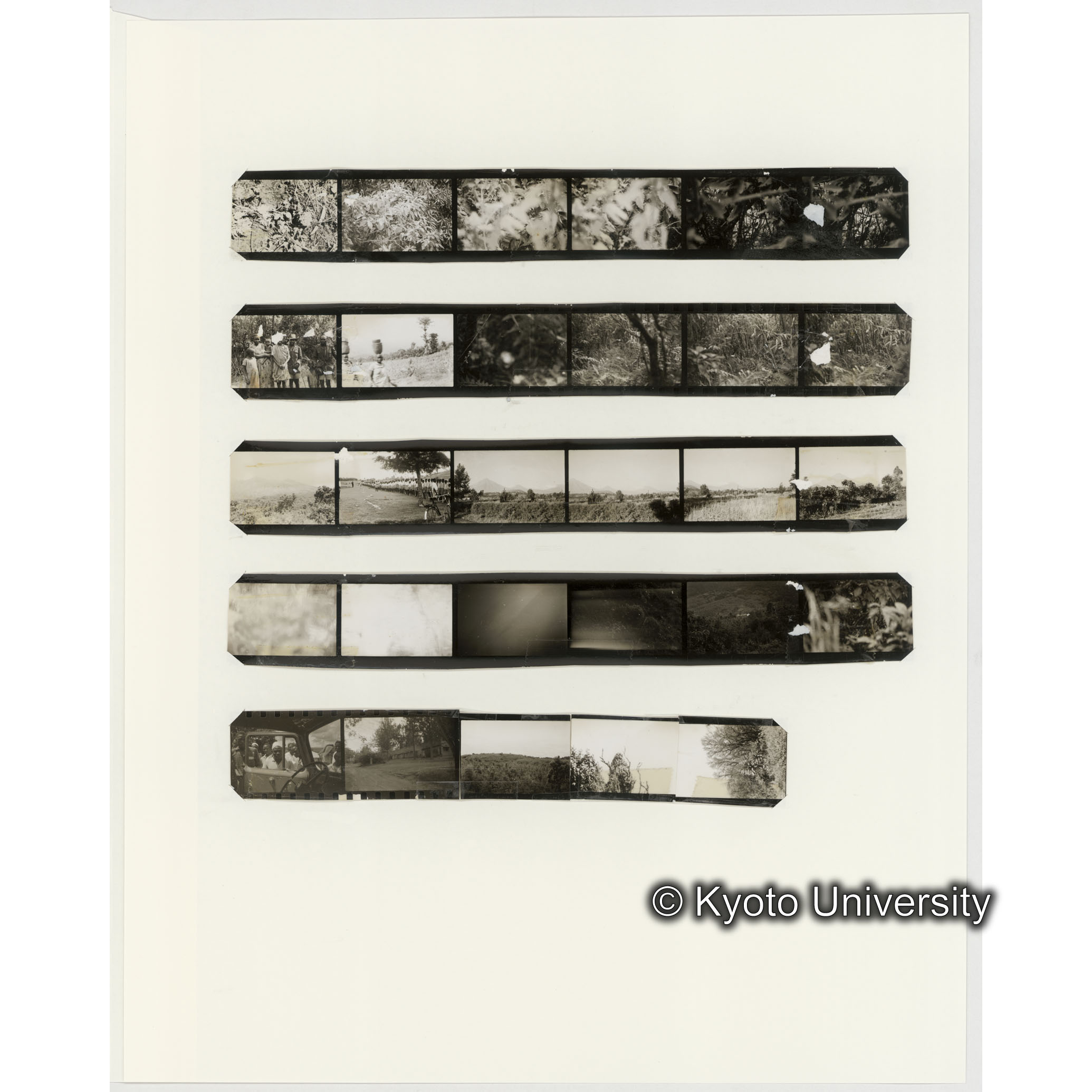 [ネガフィルムスリーブ36]「６５６」 (2)