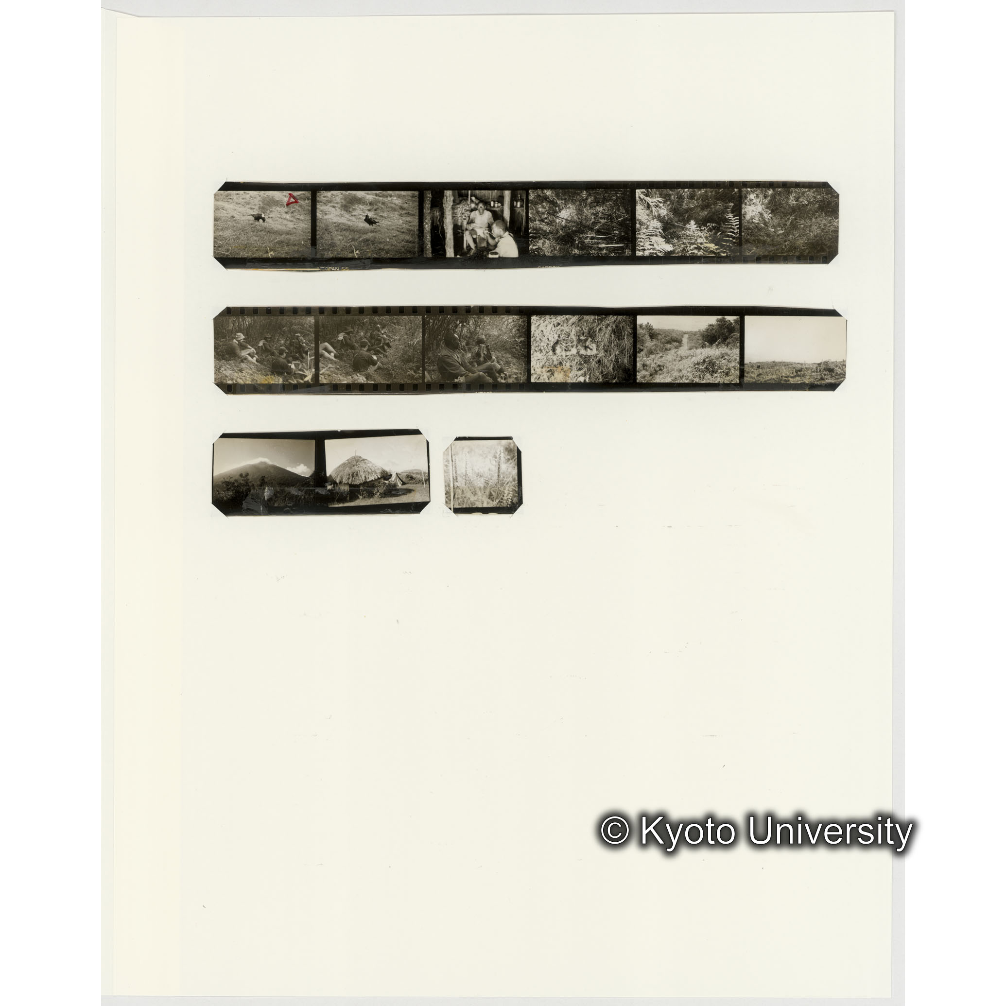 [ネガフィルムスリーブ37]「６５７」 (2)