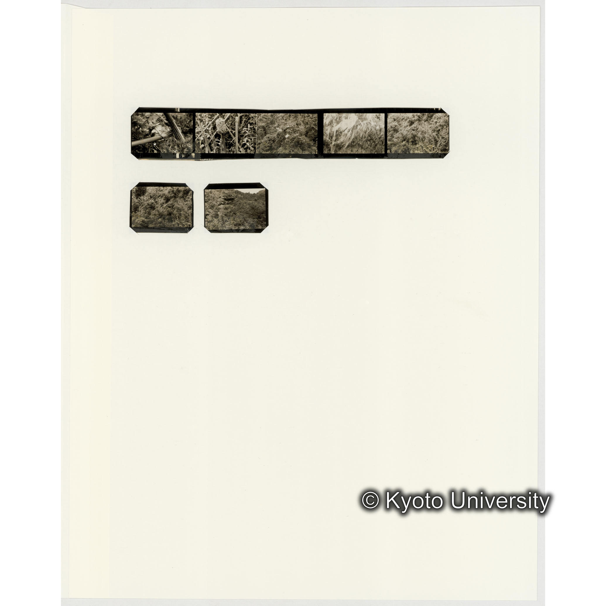 [ネガフィルムスリーブ38]「６５９」 (2)