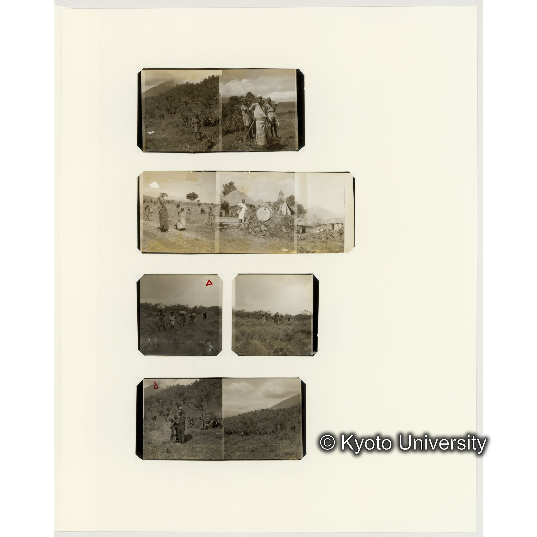 [ネガフィルムスリーブ40]「６６１」 (2)