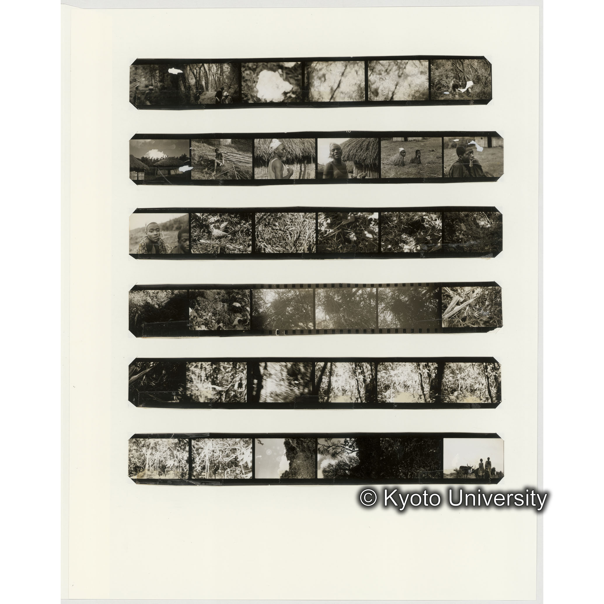 [ネガフィルムスリーブ41]「６６２」 (2)