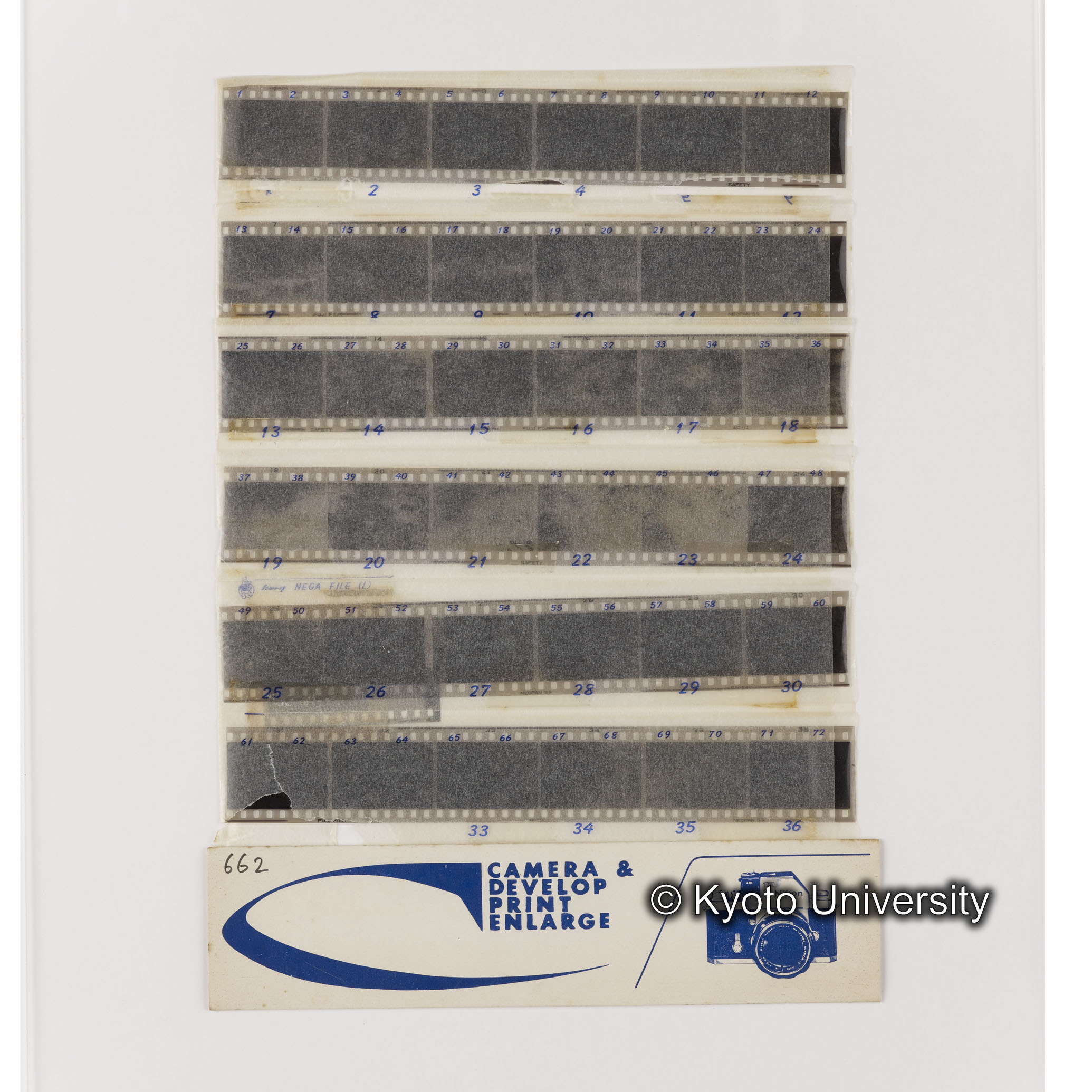 [ネガフィルムスリーブ42]「６６３」 (1)