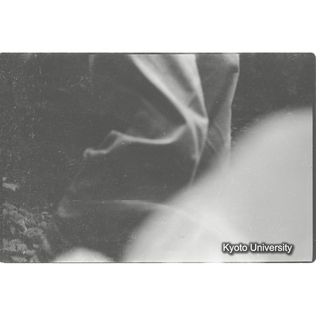 [７コマ目]「×」 (1)