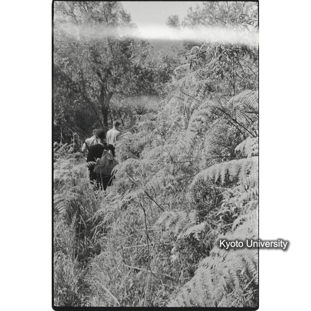 [８コマ目]「調査行」 (1)