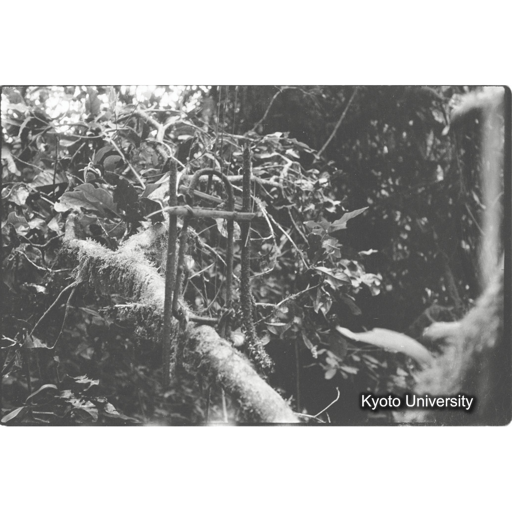 [９コマ目]「トラップ（１）」 (1)