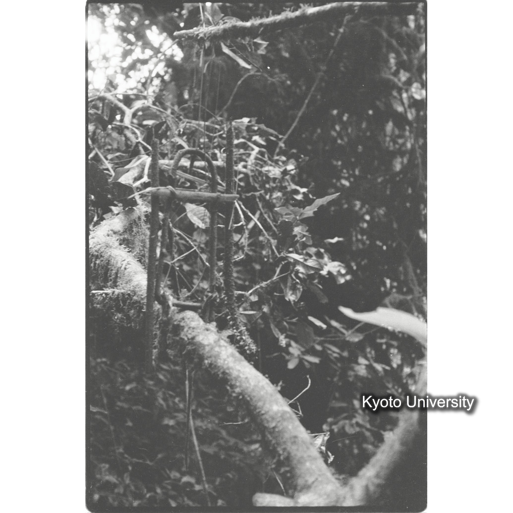 [１０コマ目]「トラップ（２）」 (1)