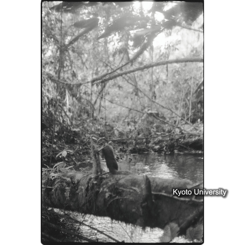 [１１コマ目]「トラップ（３）」 (1)