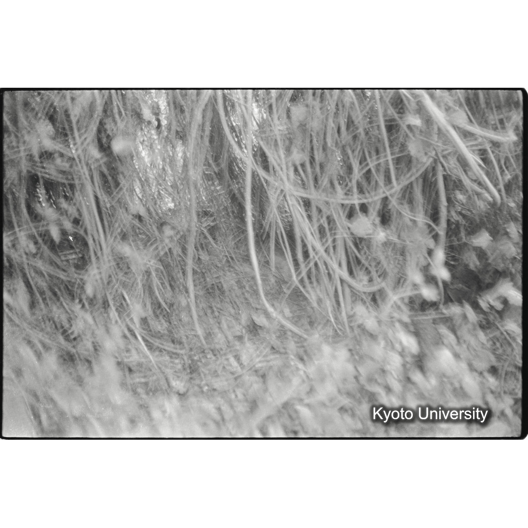 [１３コマ目]「×」 (1)