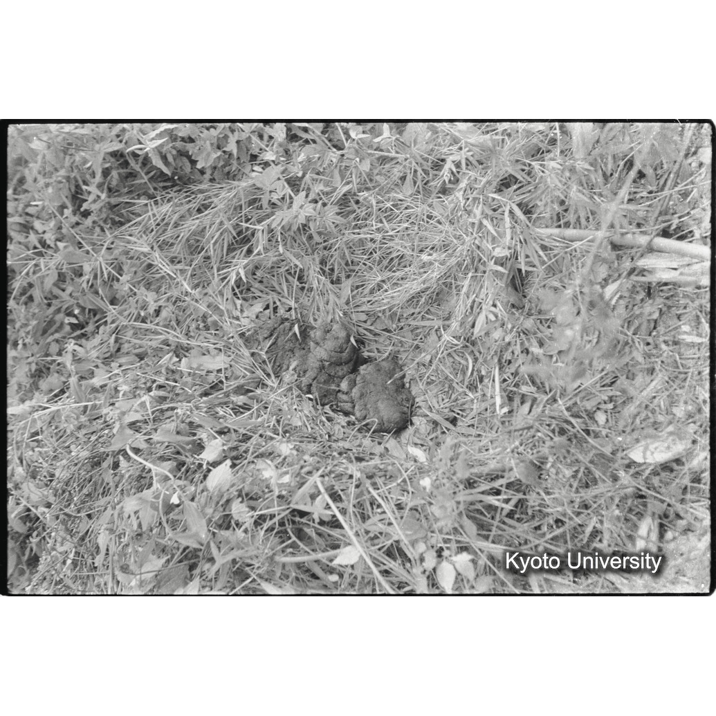 [１８コマ目]「地上のＮｅｓｔ（３）」 (1)