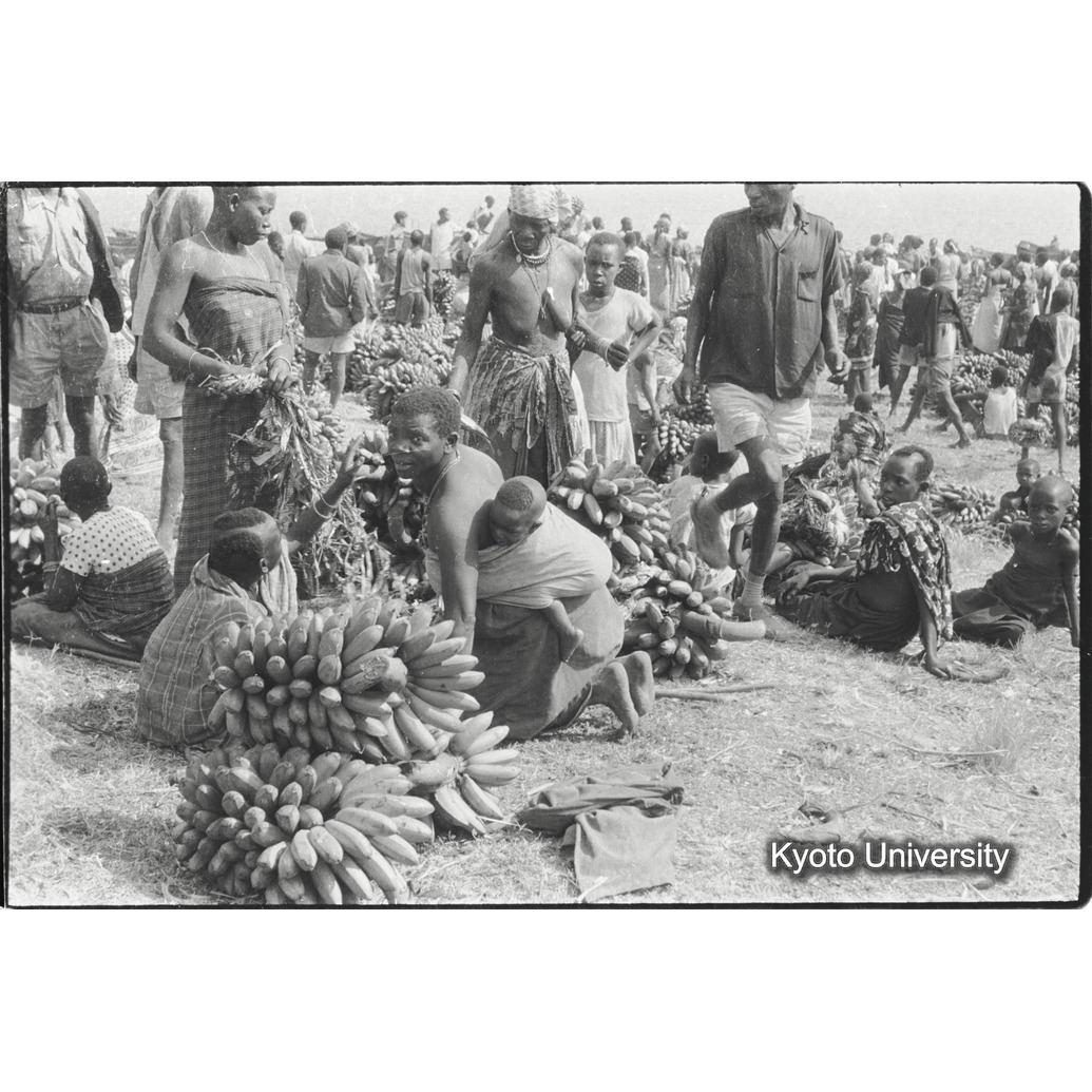 [１９コマ目]「プランテンバナナ」 (1)