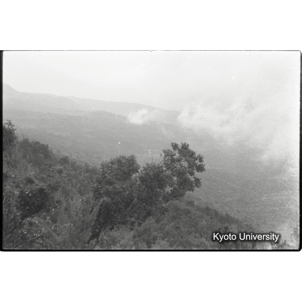 [３０コマ目]「×」 (1)