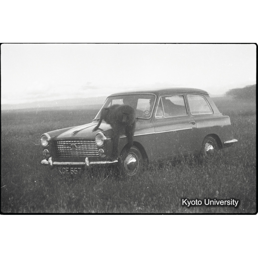 [５コマ目]「ドグエラヒヒ（４）」 (1)