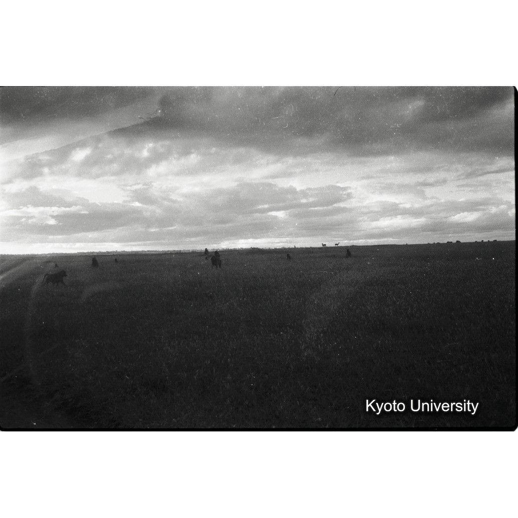 [１０コマ目]「×」 (1)