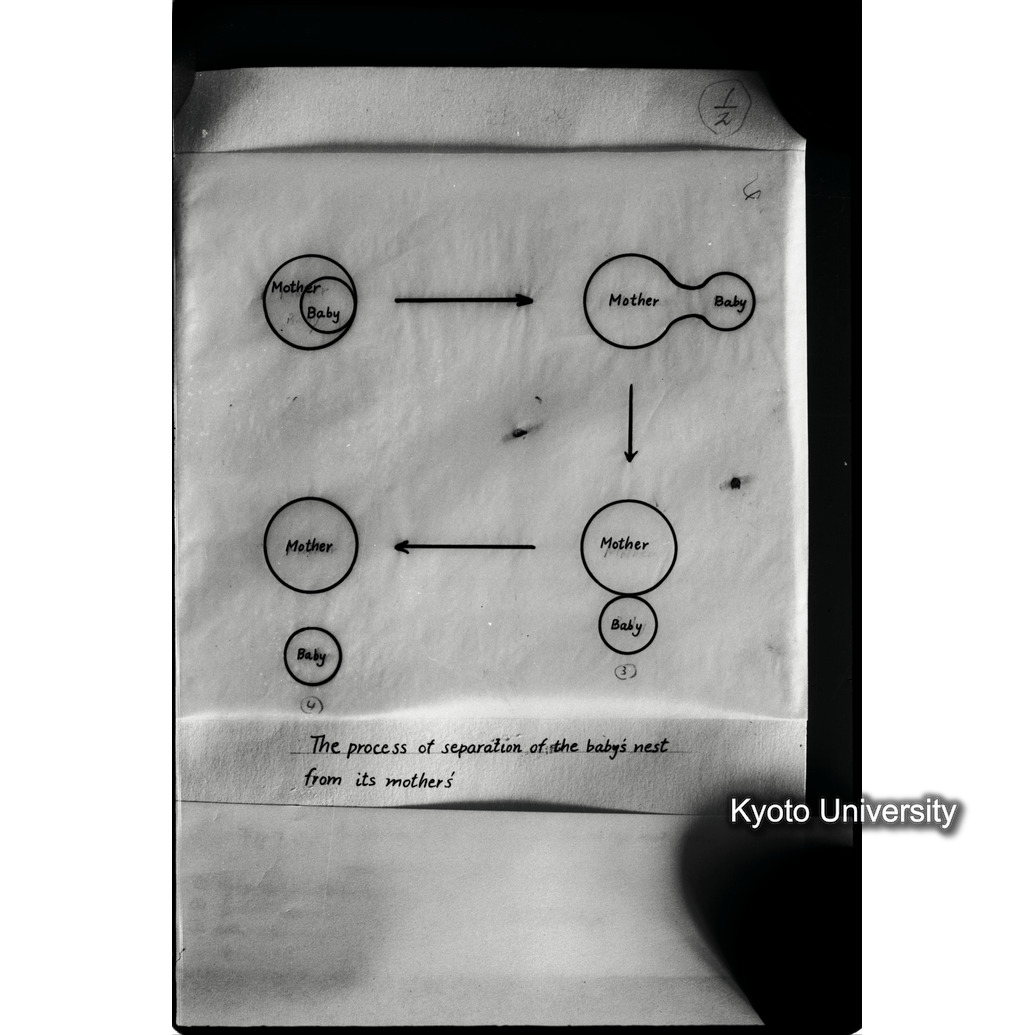 [８コマ目]「資料のまとめ（成果）」 (1)