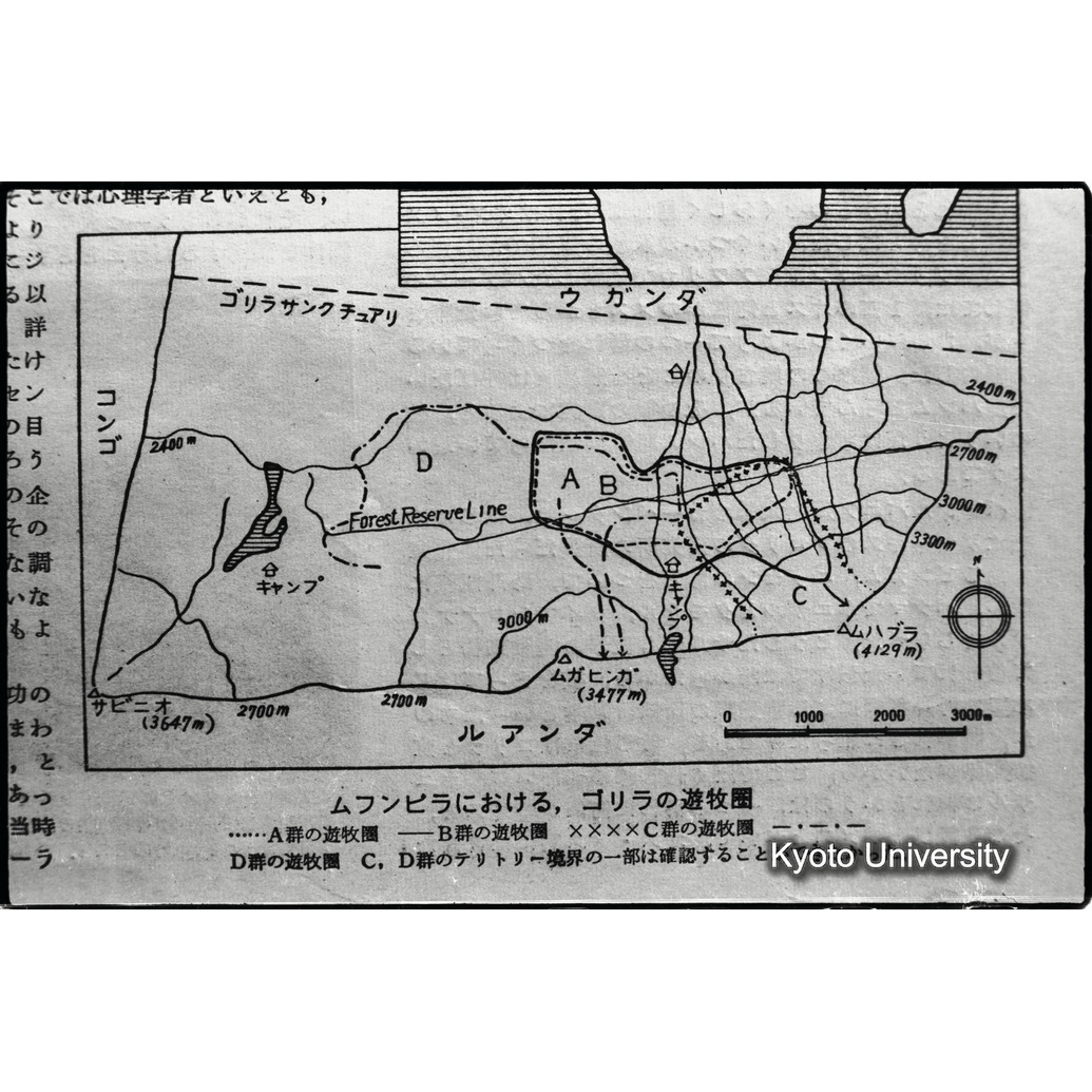 [１１コマ目]「資料のまとめ（成果）」 (1)