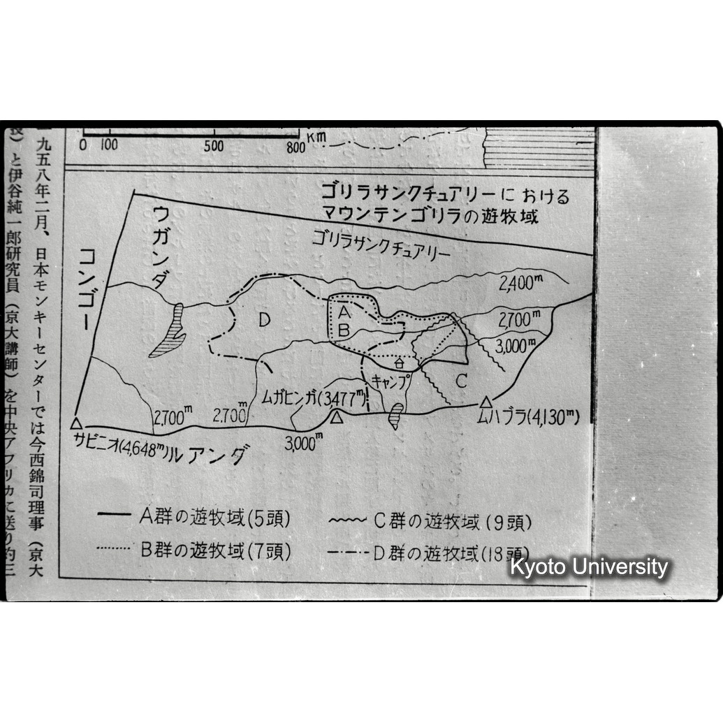 [１２コマ目]「資料のまとめ（成果）」 (1)