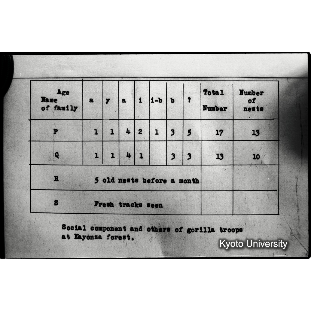 [１４コマ目]「資料のまとめ（成果）」 (1)