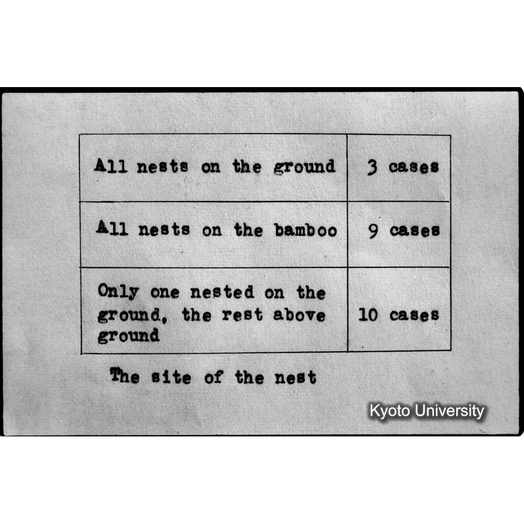 [１６コマ目]「資料のまとめ（成果）」 (1)