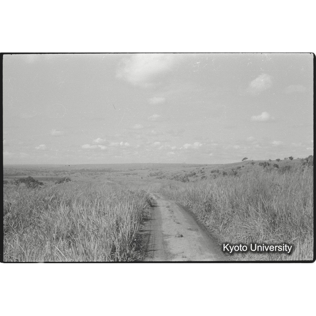 [５コマ目]「サバンナを走る道」 (1)