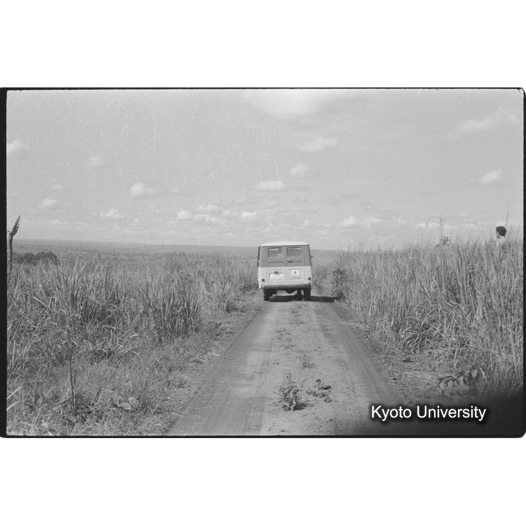 [７コマ目]「サバンナを行く」 (1)