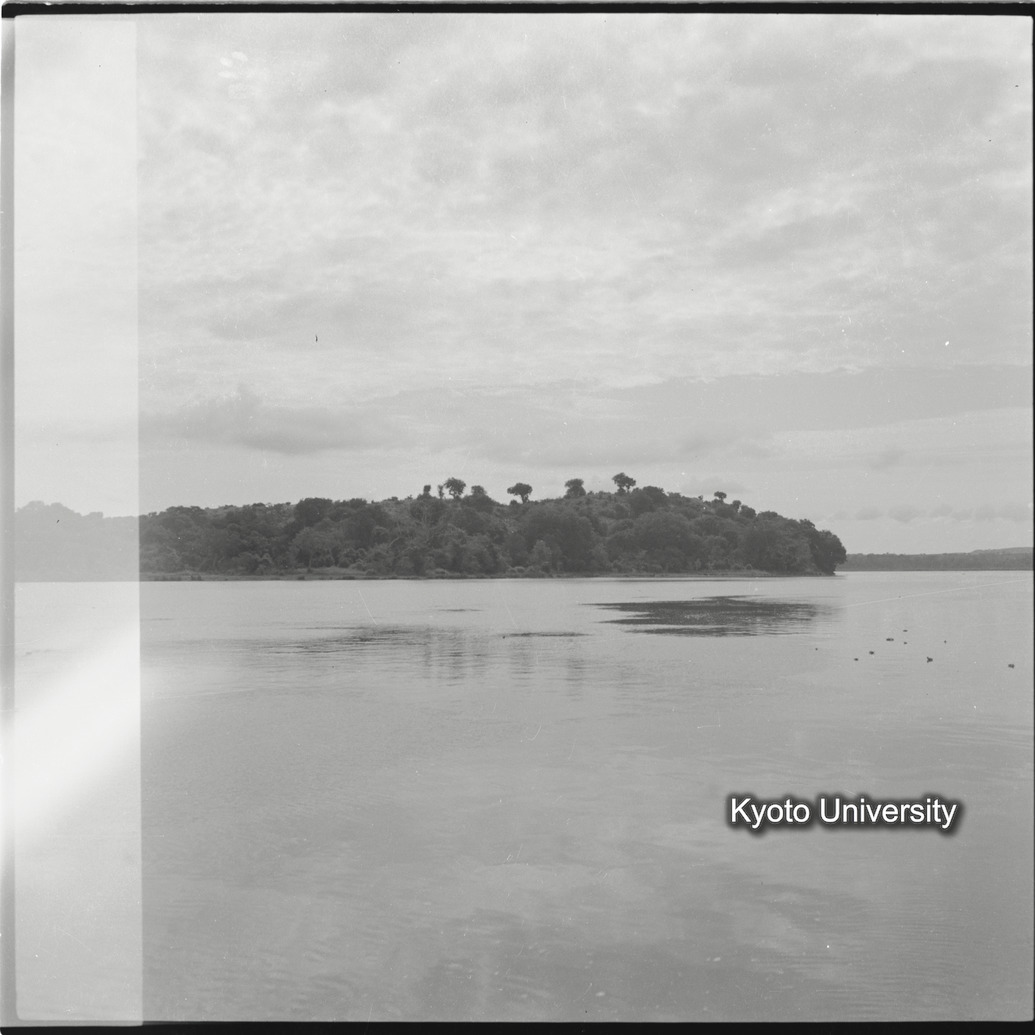 [１１コマ目]「×」 (1)