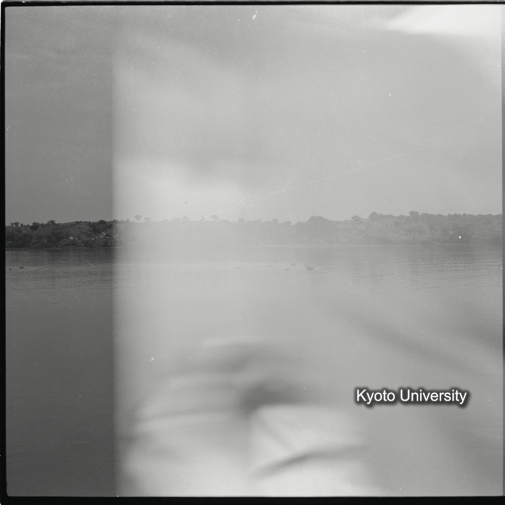 [１２コマ目]「×」 (1)