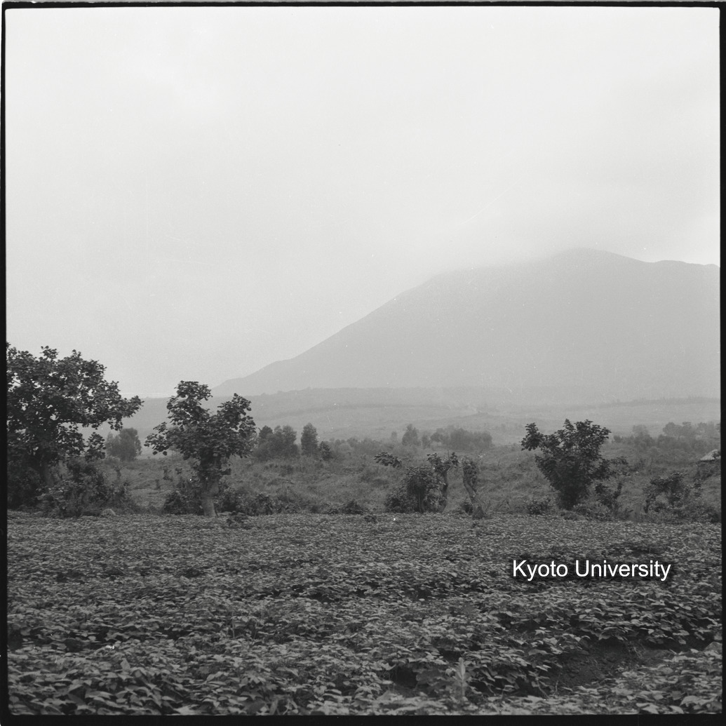 [8コマ目]「ムハブラ山」 (1)