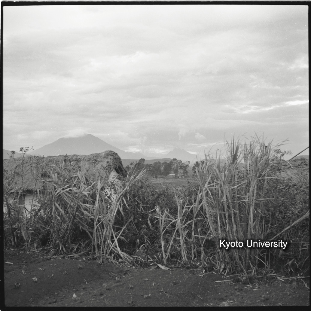 [5コマ目]「ムハブラを望む」 (1)