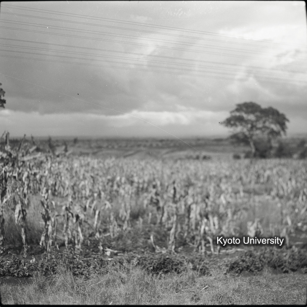 [2コマ目]「？」 (1)