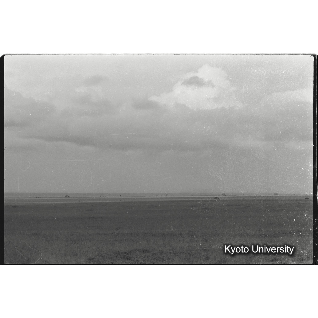 [30コマ目]「アンボセリ湖底」 (1)