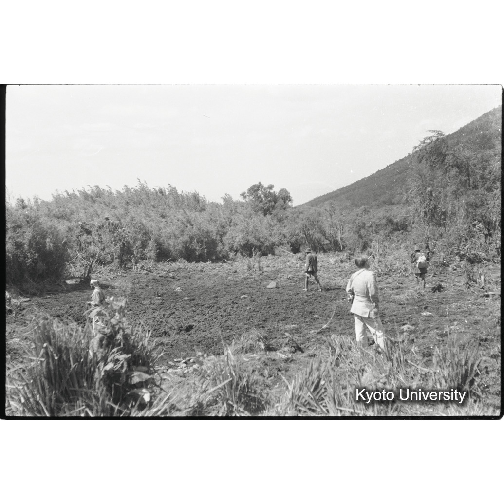 [12コマ目]「湿地（１）」 (1)