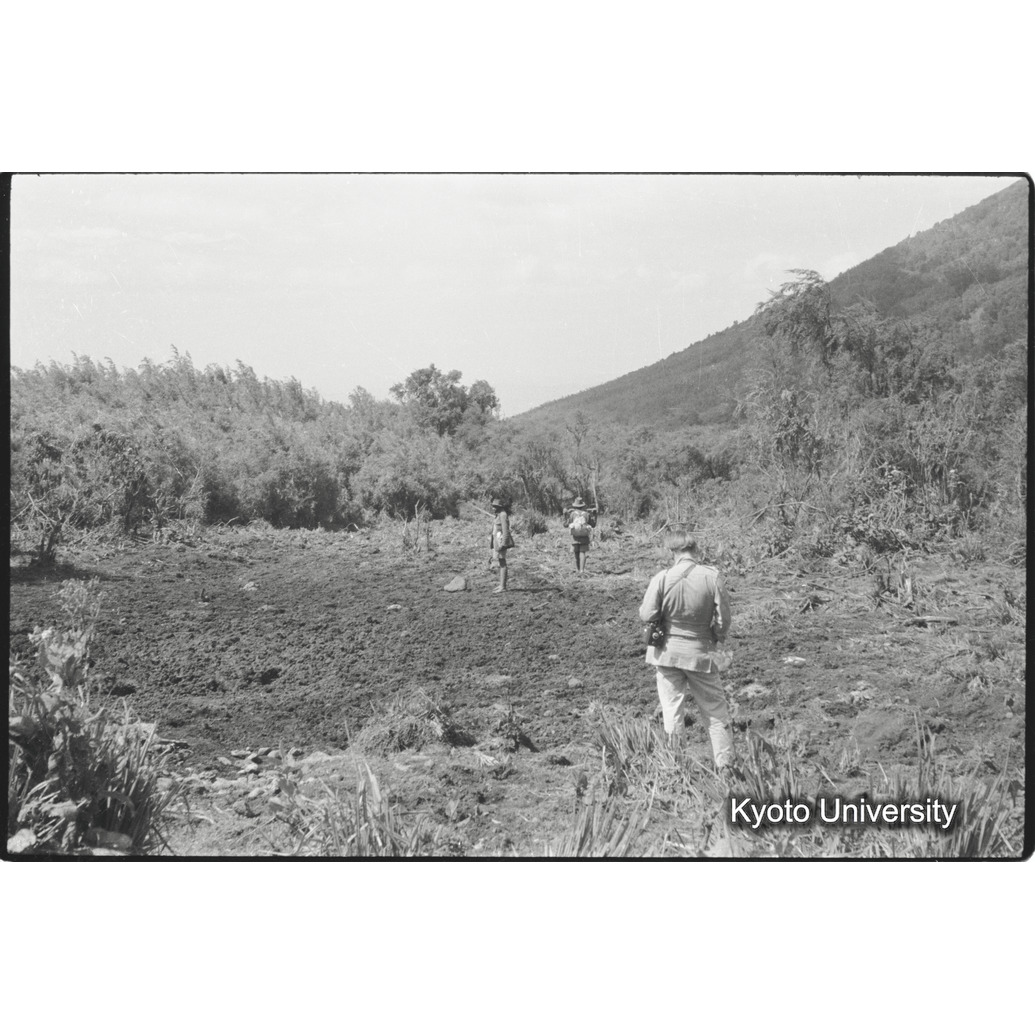 [13コマ目]「湿地（２）」 (1)