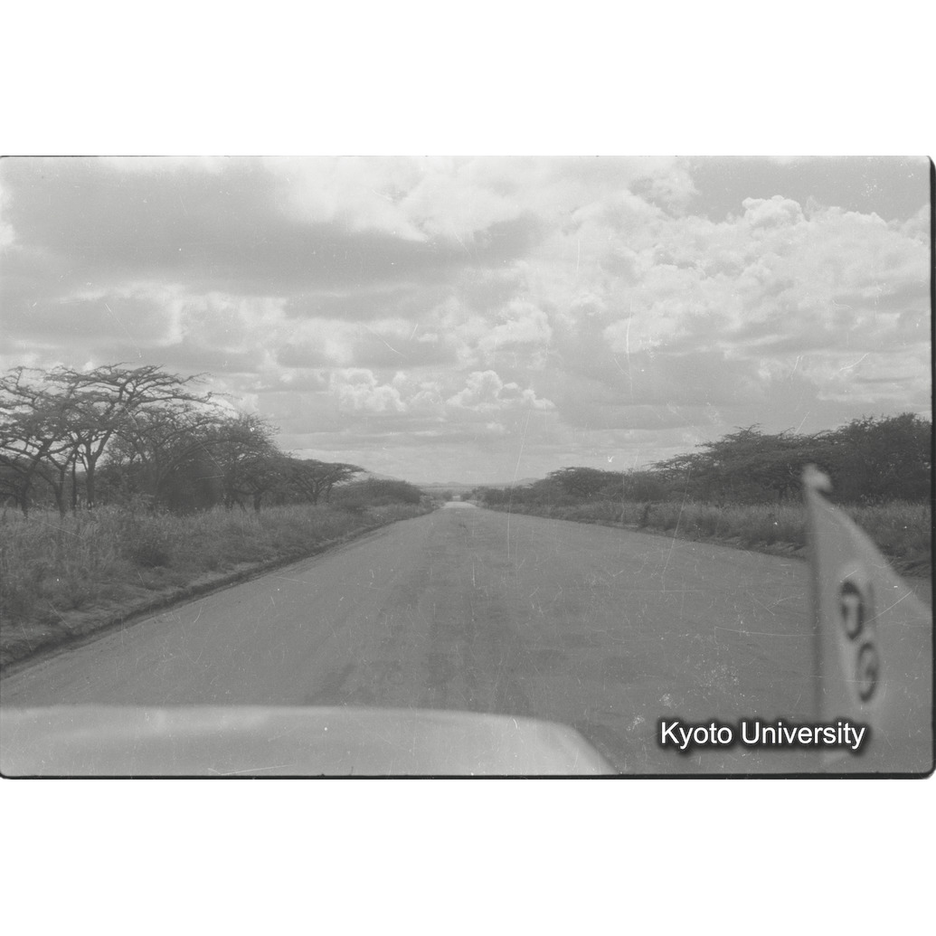 [10コマ目]「モンバサ街道（１）」 (1)