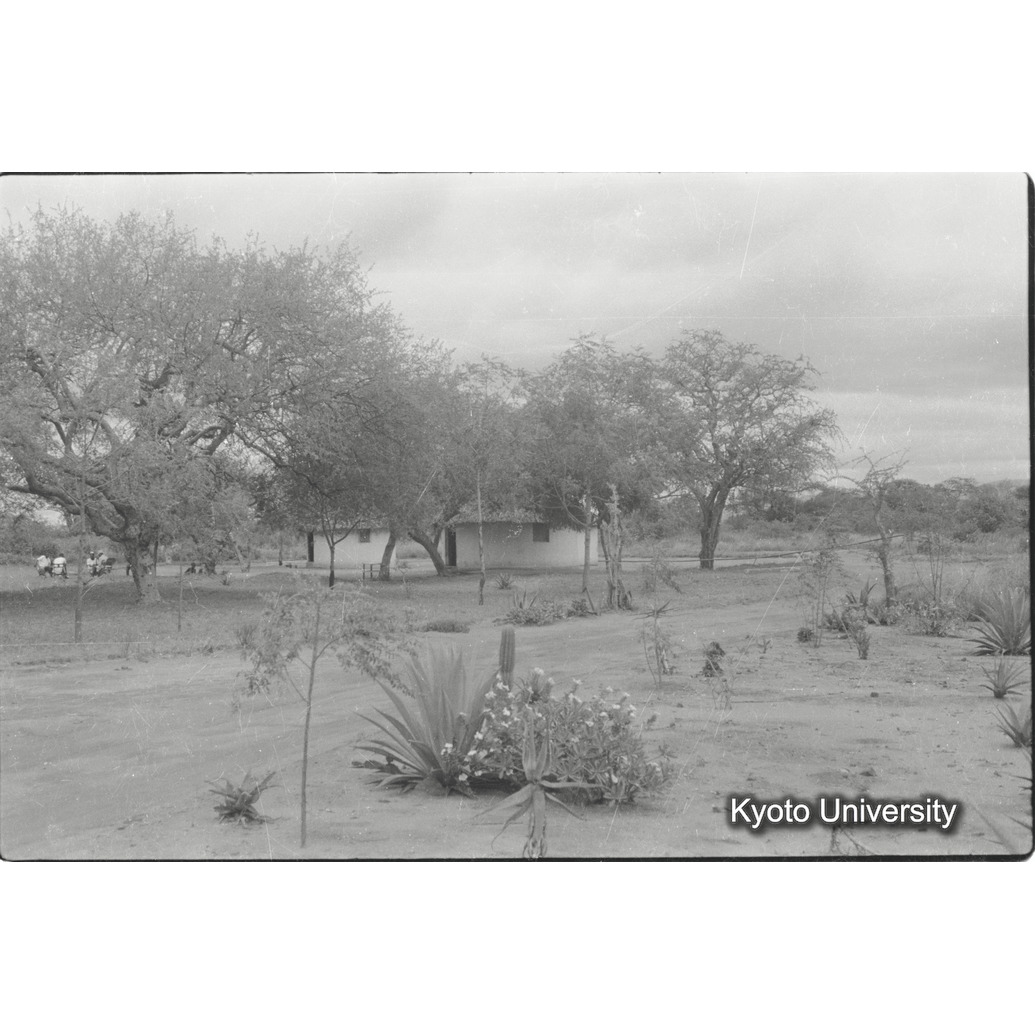 [21コマ目]「ナイロビ国立公園」 (1)