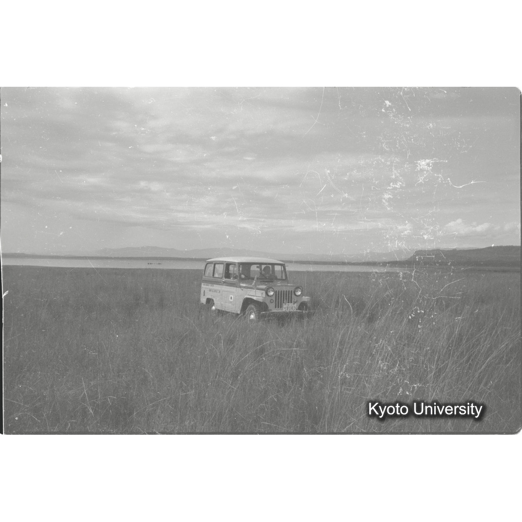 [25コマ目]「サバンナを走る」 (1)