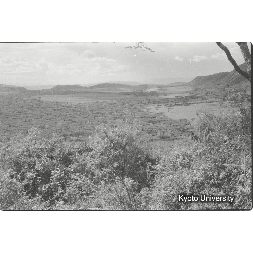 [10コマ目]「ナクル湖遠望」 (1)