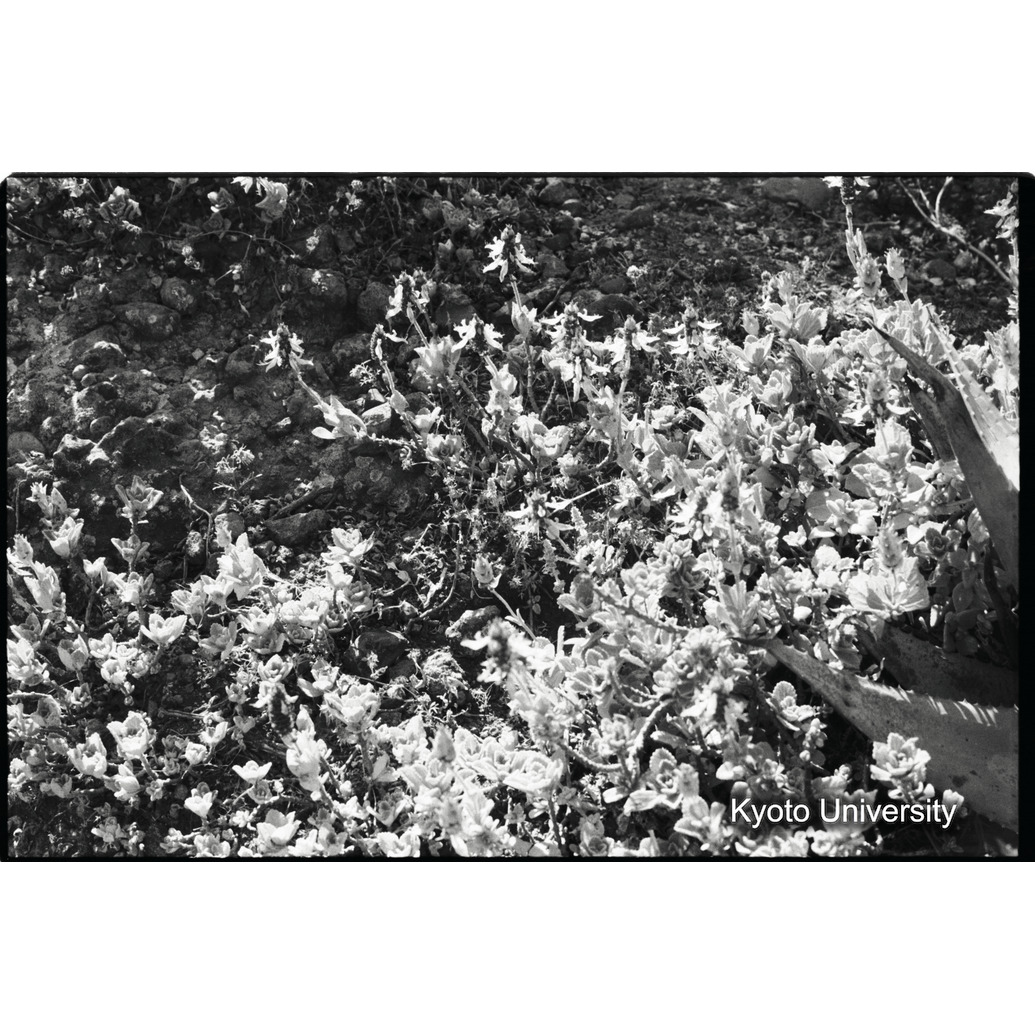 [１６コマ目] (1)