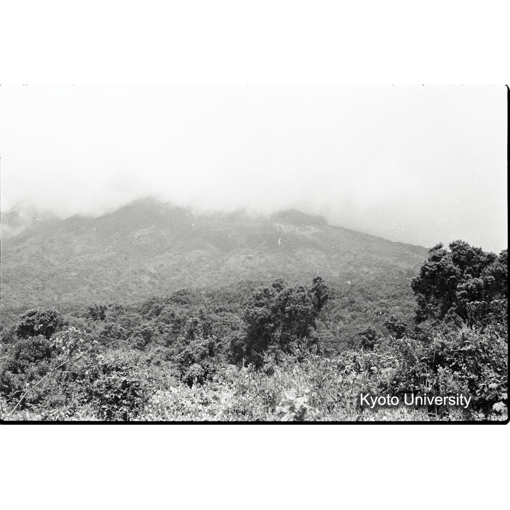 [13コマ目]「ムハブラ」 (1)