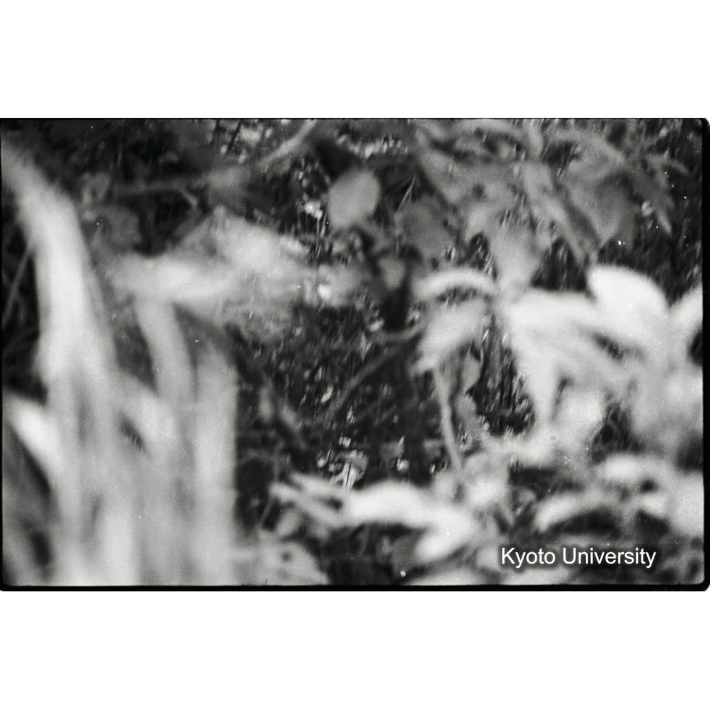 [24コマ目]「×」 (1)