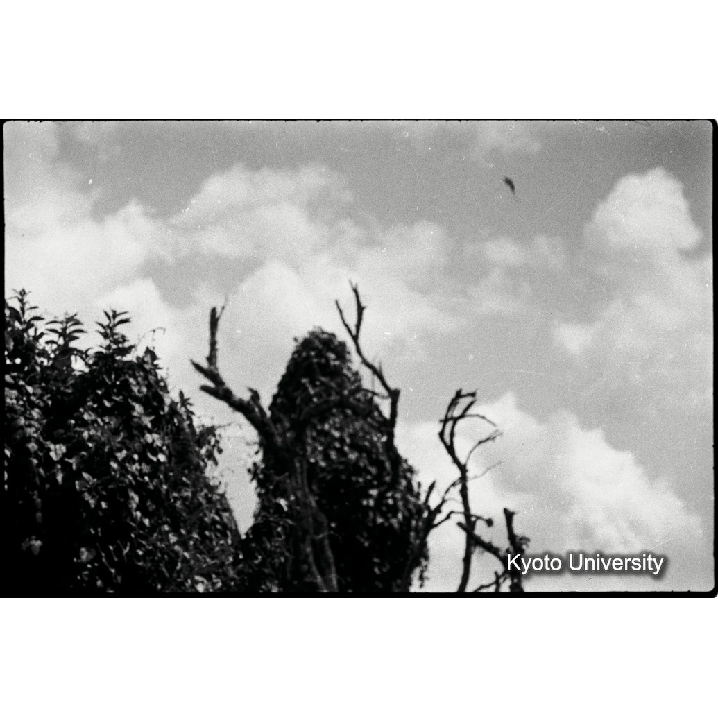 [28コマ目]「×」 (1)