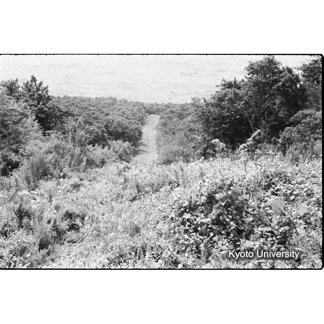 [11コマ目]「パイプライン」 (1)