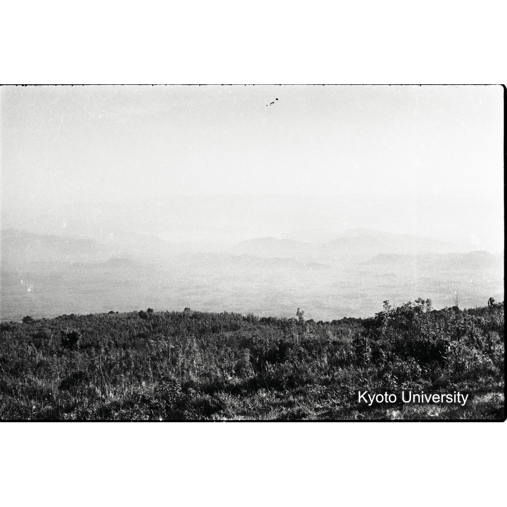 [12コマ目]「？」 (1)